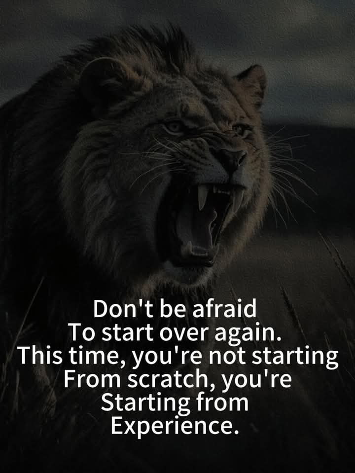 Don't Be Afraid to start over again.